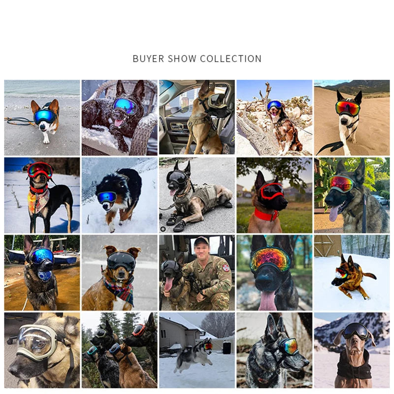 Dog Goggles Adjustable UV Protection for Travel