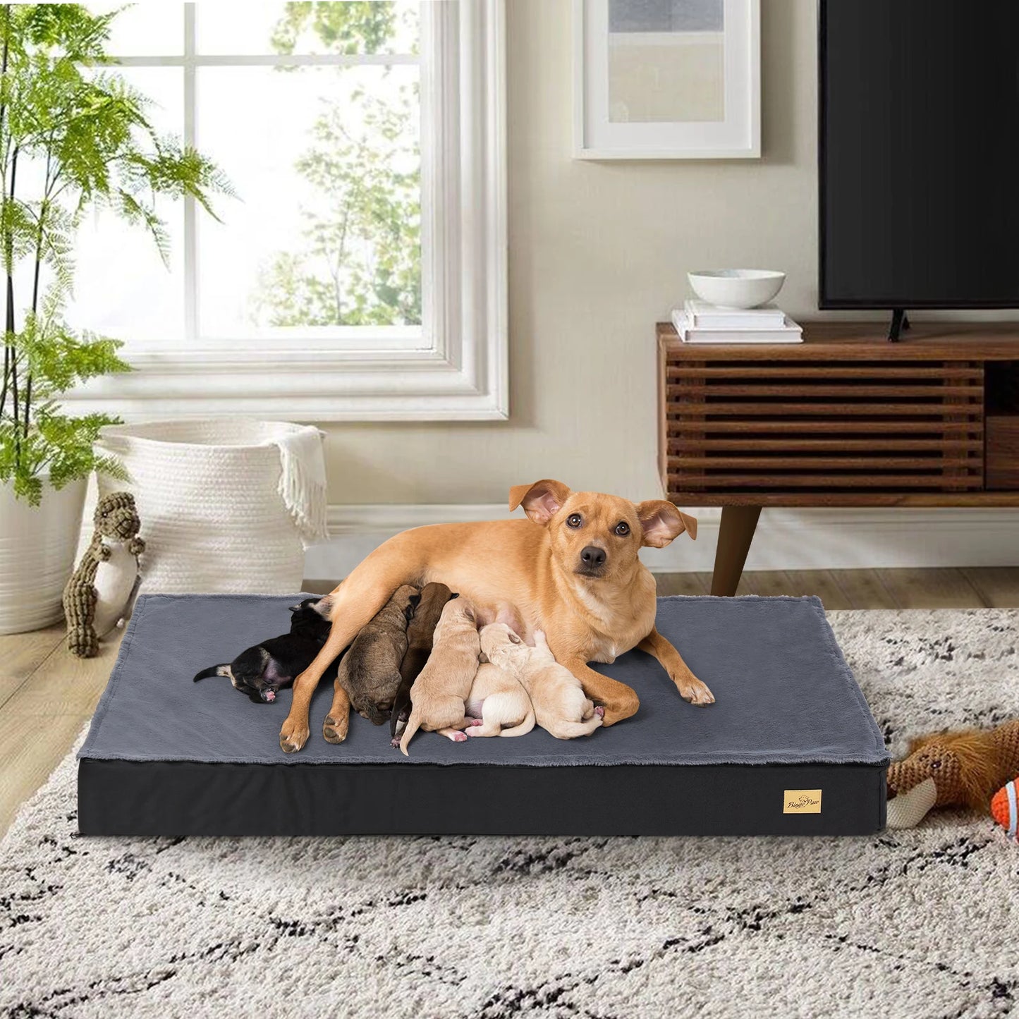 Orthopedic Washable Dog Bed for Large Dogs