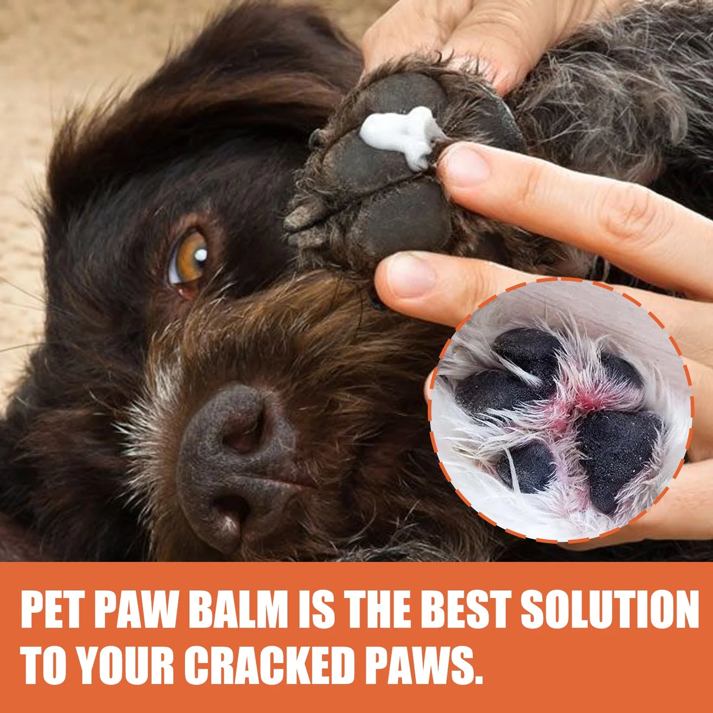 Pet Paw and Nose Balm Moisturizer for Dogs and Cats