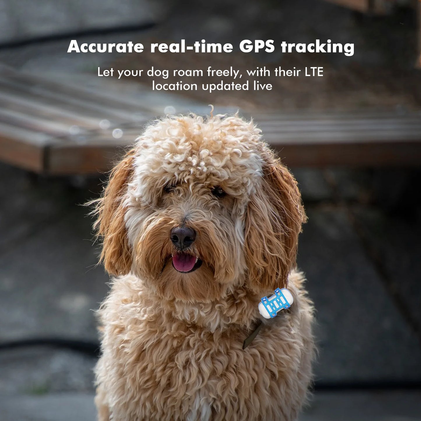 Waterproof 4G Pet GPS Tracker with Sound and Light