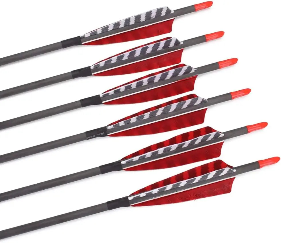 30 Inch Pure Carbon Arrows with Turkey Feathers and 100 Grain Tips Pack of 6 or 12
