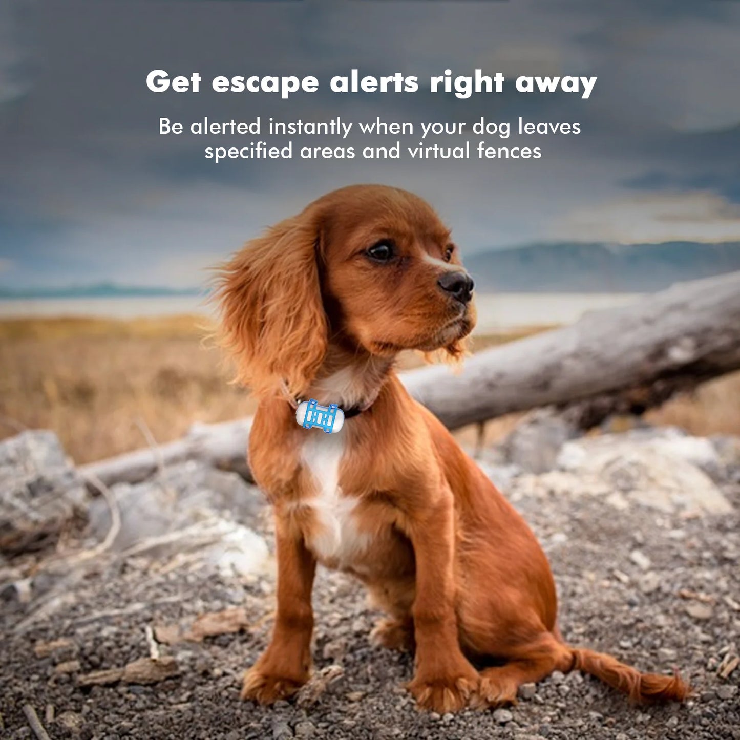 Waterproof 4G Pet GPS Tracker with Sound and Light