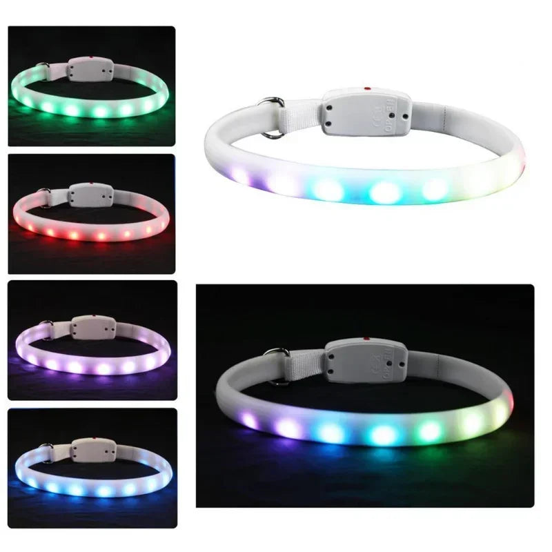 USB Rechargeable LED Dog Collar with Flashing Safety Lights