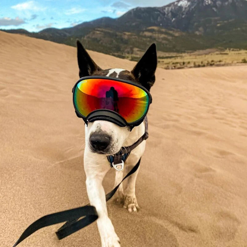 Dog Goggles Adjustable UV Protection for Travel