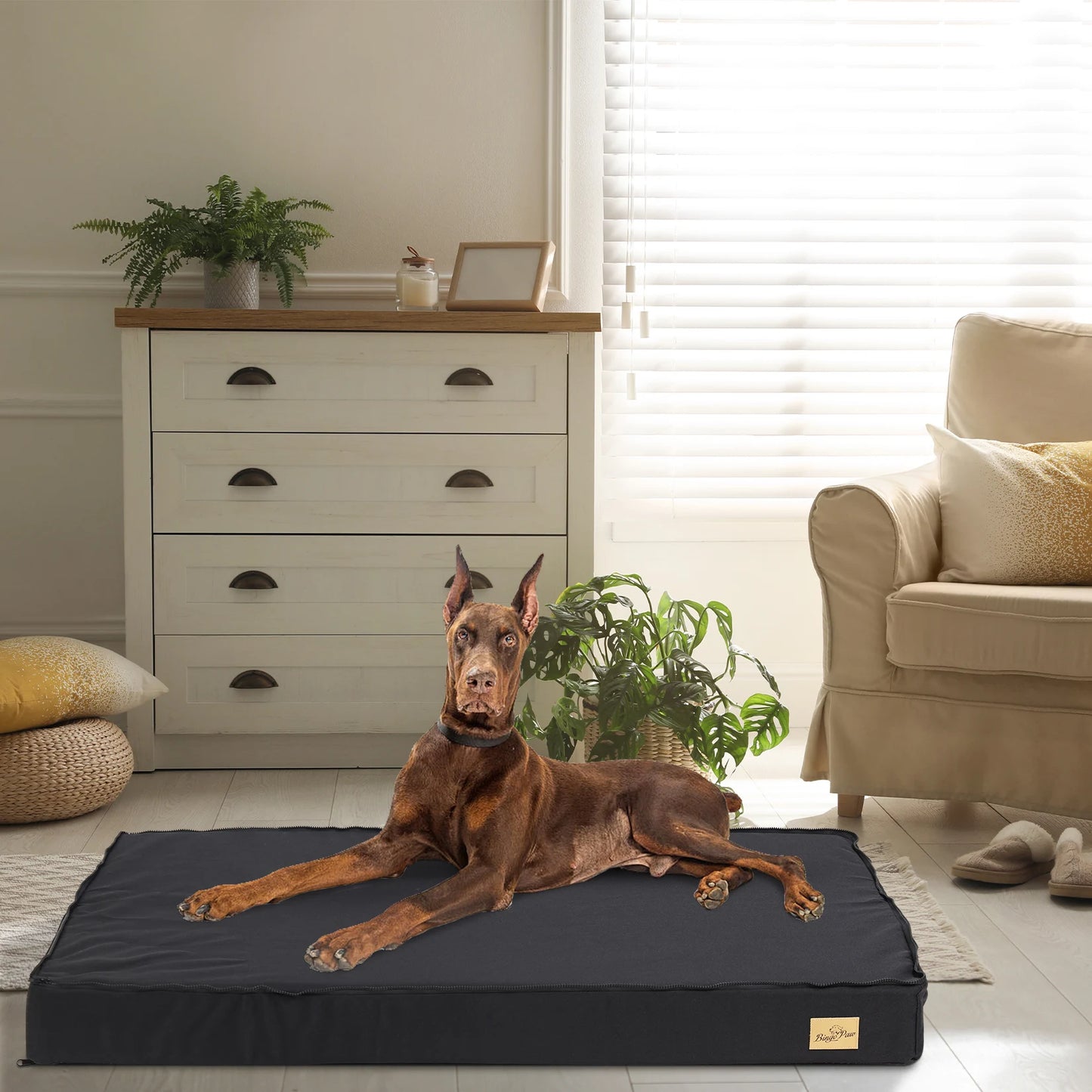 Orthopedic Washable Dog Bed for Large Dogs