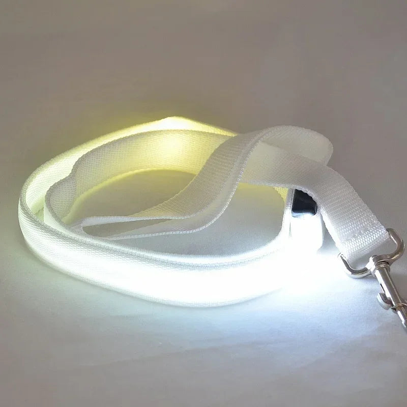 LED Glowing Dog Leash and Collar Set for Night Safety