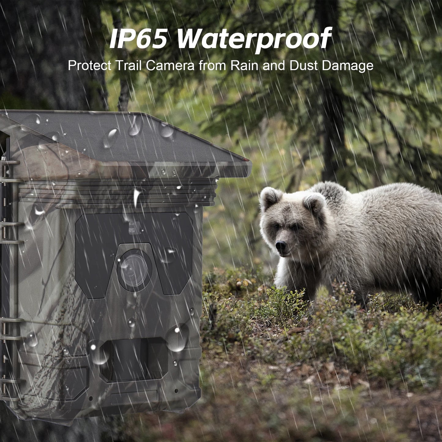 Solar Powered 4K Trail Camera with Night Vision and 50MP Photos