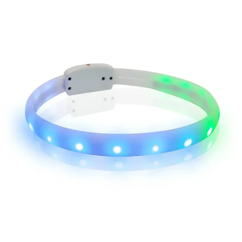 USB Rechargeable LED Dog Collar with Flashing Safety Lights
