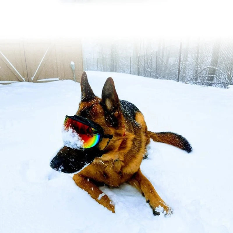 Dog Goggles Adjustable UV Protection for Travel