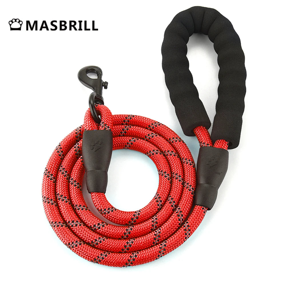 Reflective No Pull Dog Harness with Leash Hooks and Handle
