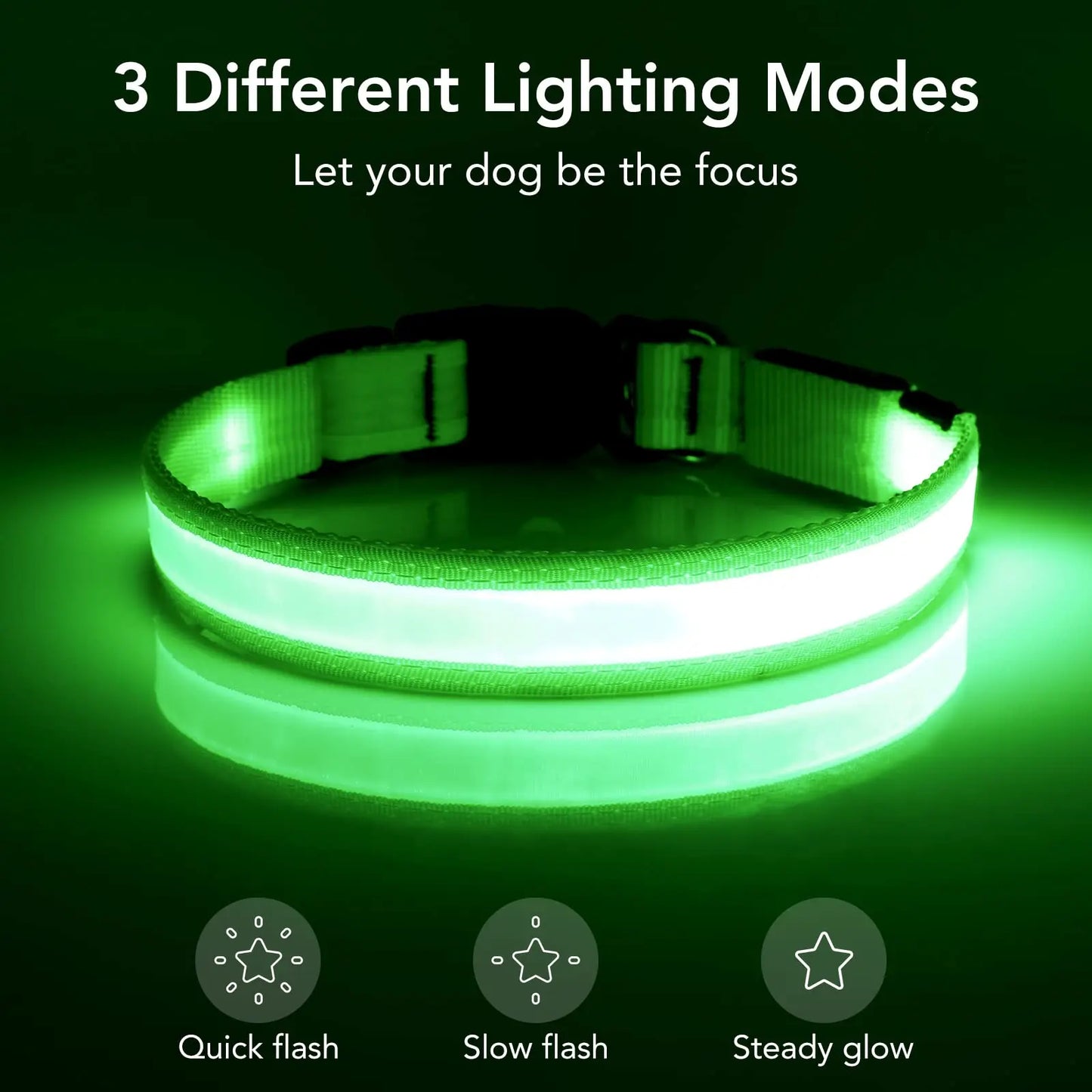 Vizpet LED Dog Collar USB Rechargeable Adjustable Light Up Safety Collar