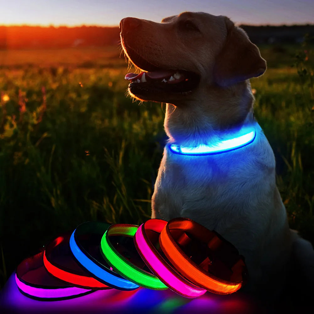 LED Glow Dog Collar Waterproof Light Up Safety Collar