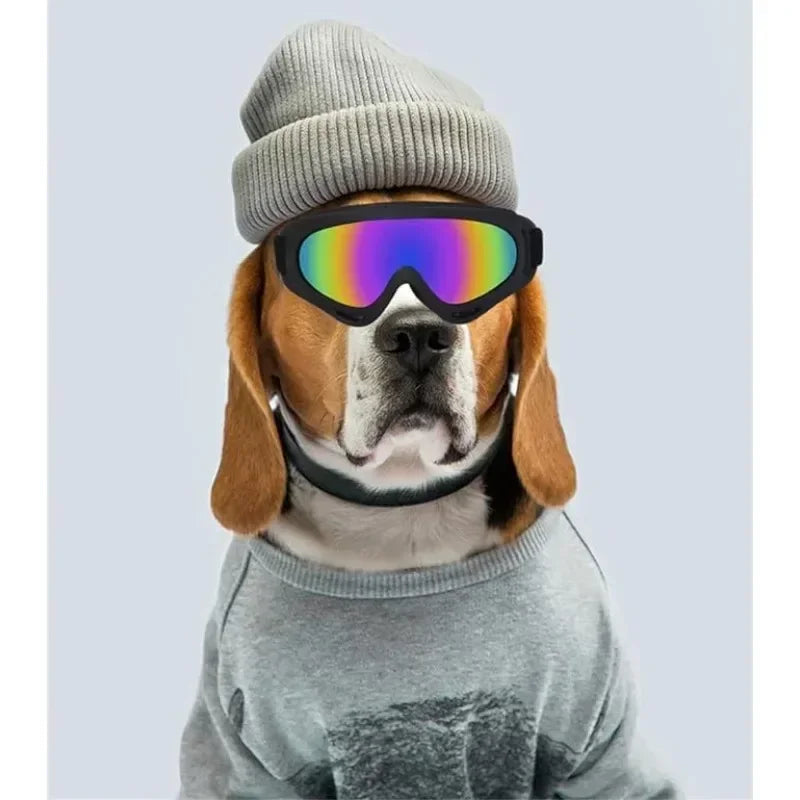 Large Dog Goggles UV Wind and Snow Protection Sunglasses for Outdoor Use