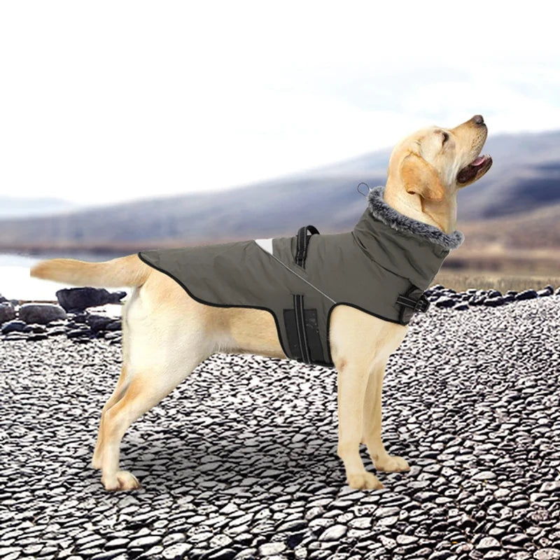 Winter Dog Jacket with Harness Waterproof Warm Coat for Small & Large Dogs