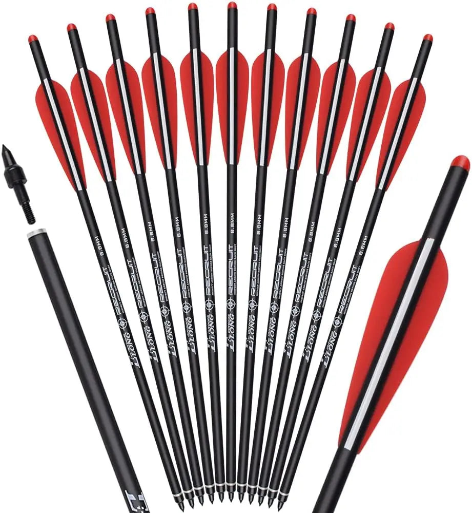 12 Pack Carbon Crossbow Bolts 20 or 22 Inch with 100gr Tips