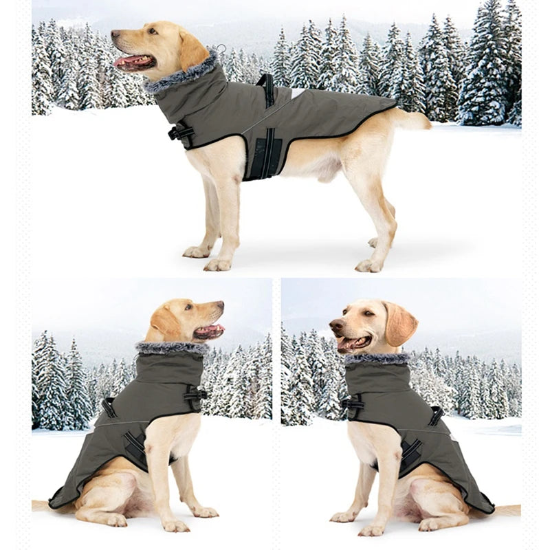 Winter Dog Jacket with Harness Waterproof Warm Coat for Small & Large Dogs