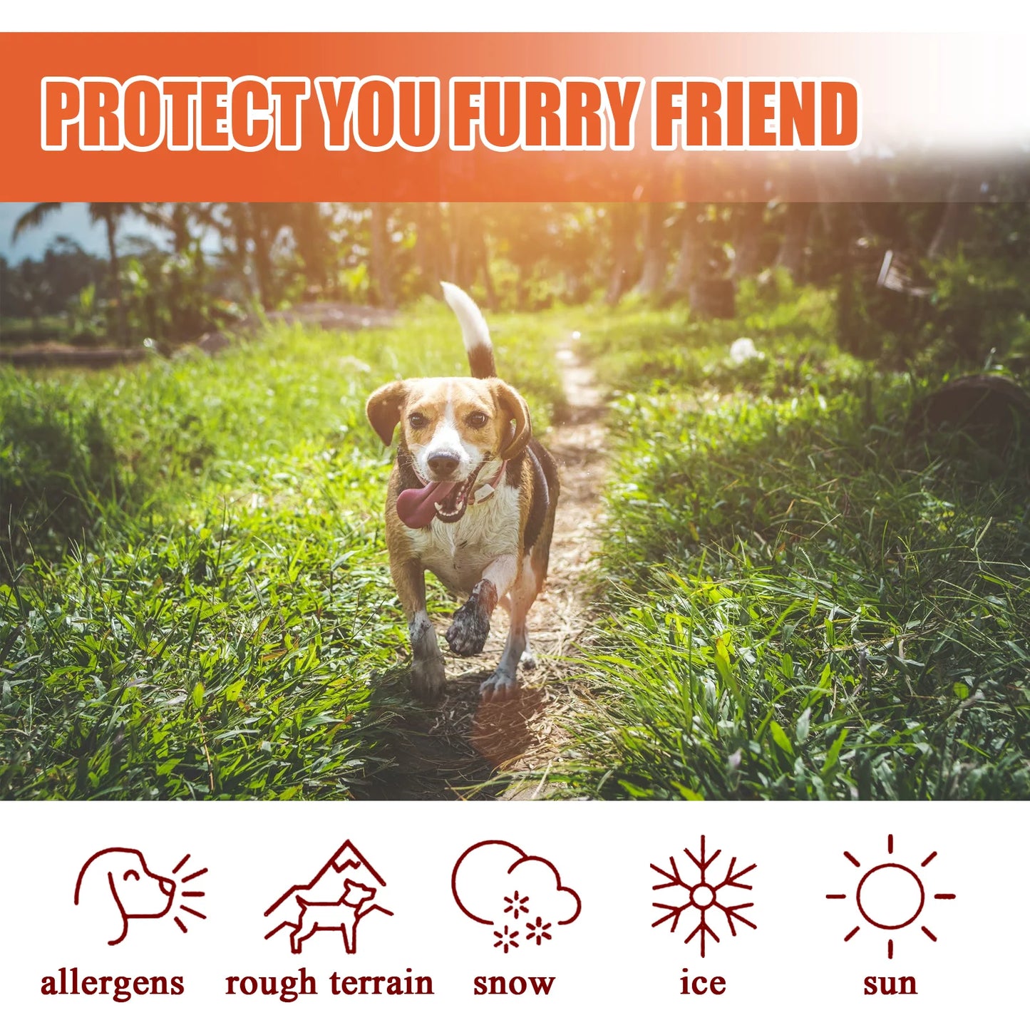 Pet Paw and Nose Balm Moisturizer for Dogs and Cats