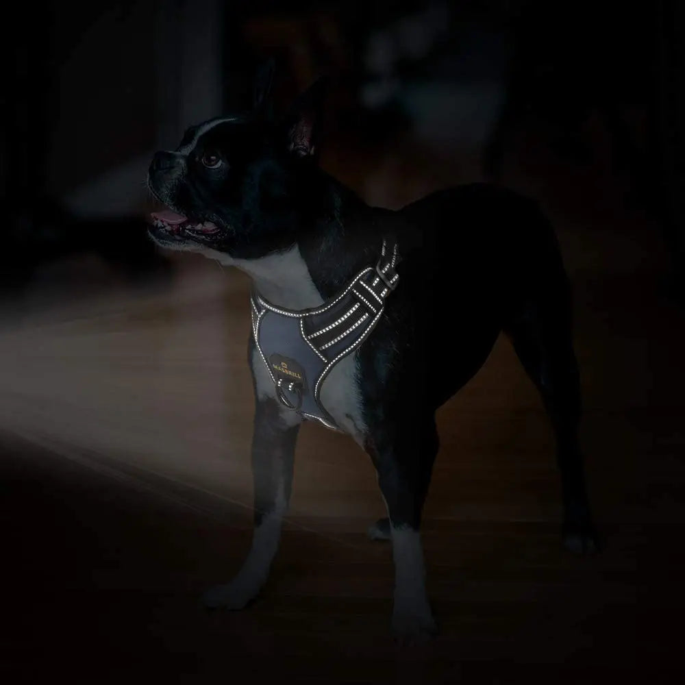 Reflective No Pull Dog Harness with Leash Hooks and Handle