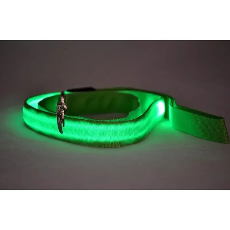 LED Glowing Dog Leash and Collar Set for Night Safety
