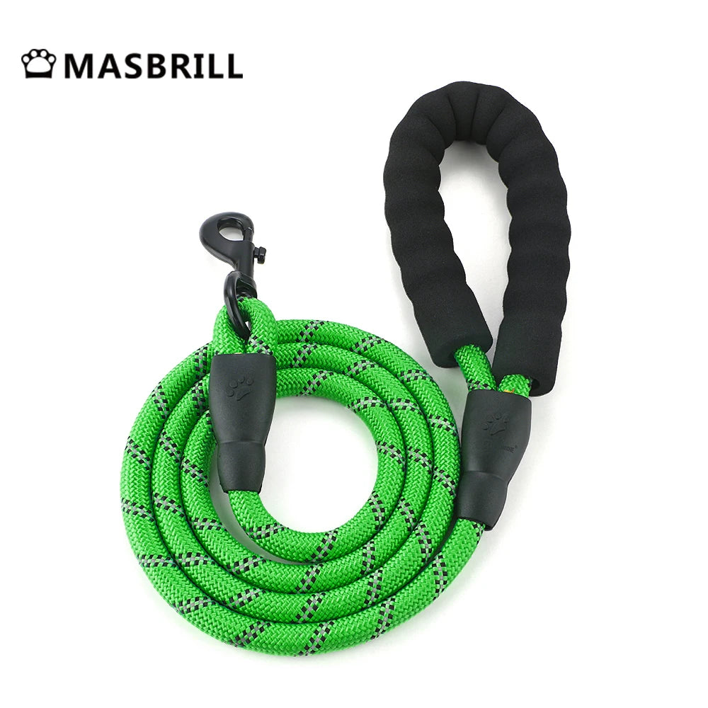 Reflective No Pull Dog Harness with Leash Hooks and Handle