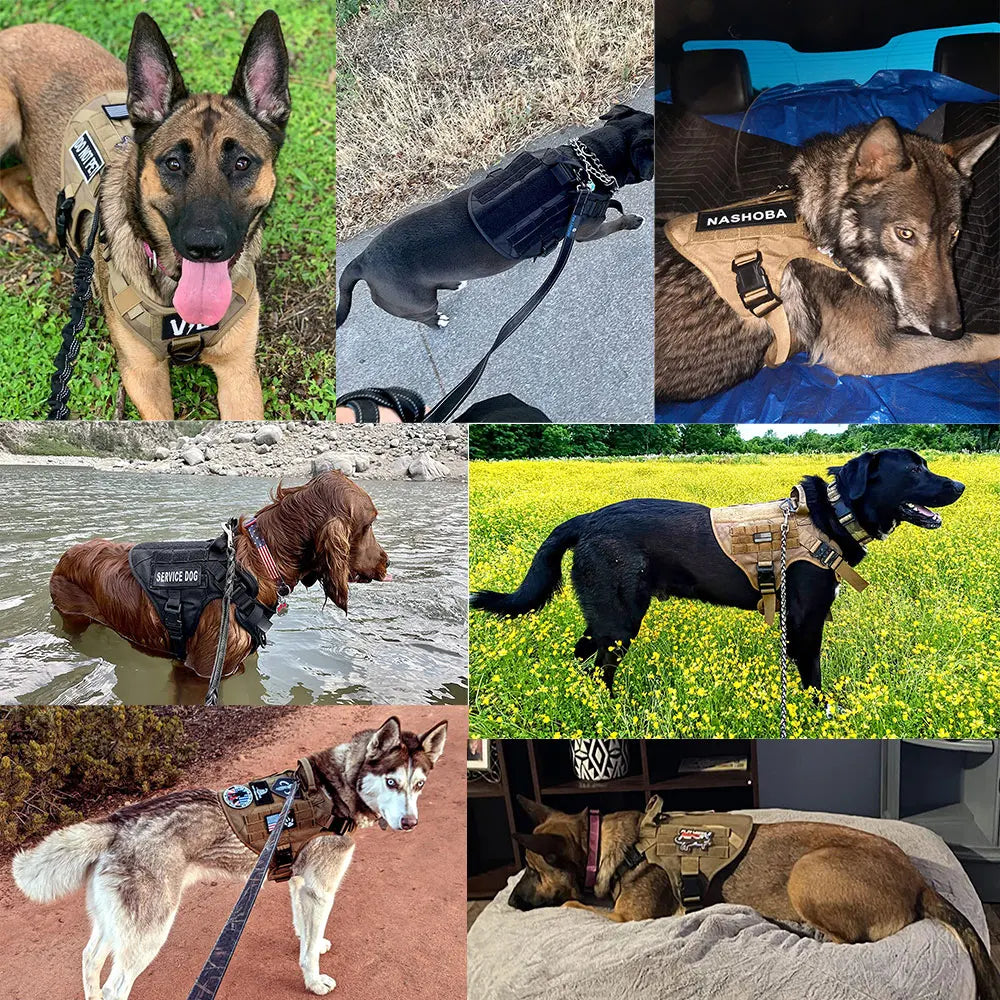 Military Dog Harness and Leash Set with Bags