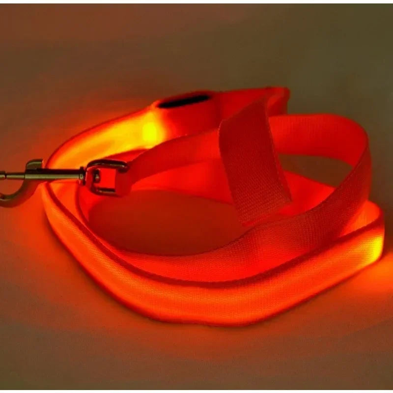 LED Glowing Dog Leash and Collar Set for Night Safety