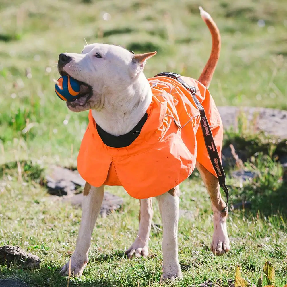 Warm Waterproof Dog Coat - Adjustable Small Dog, Cozy Sport Vest for Dogs (Orange, XL)