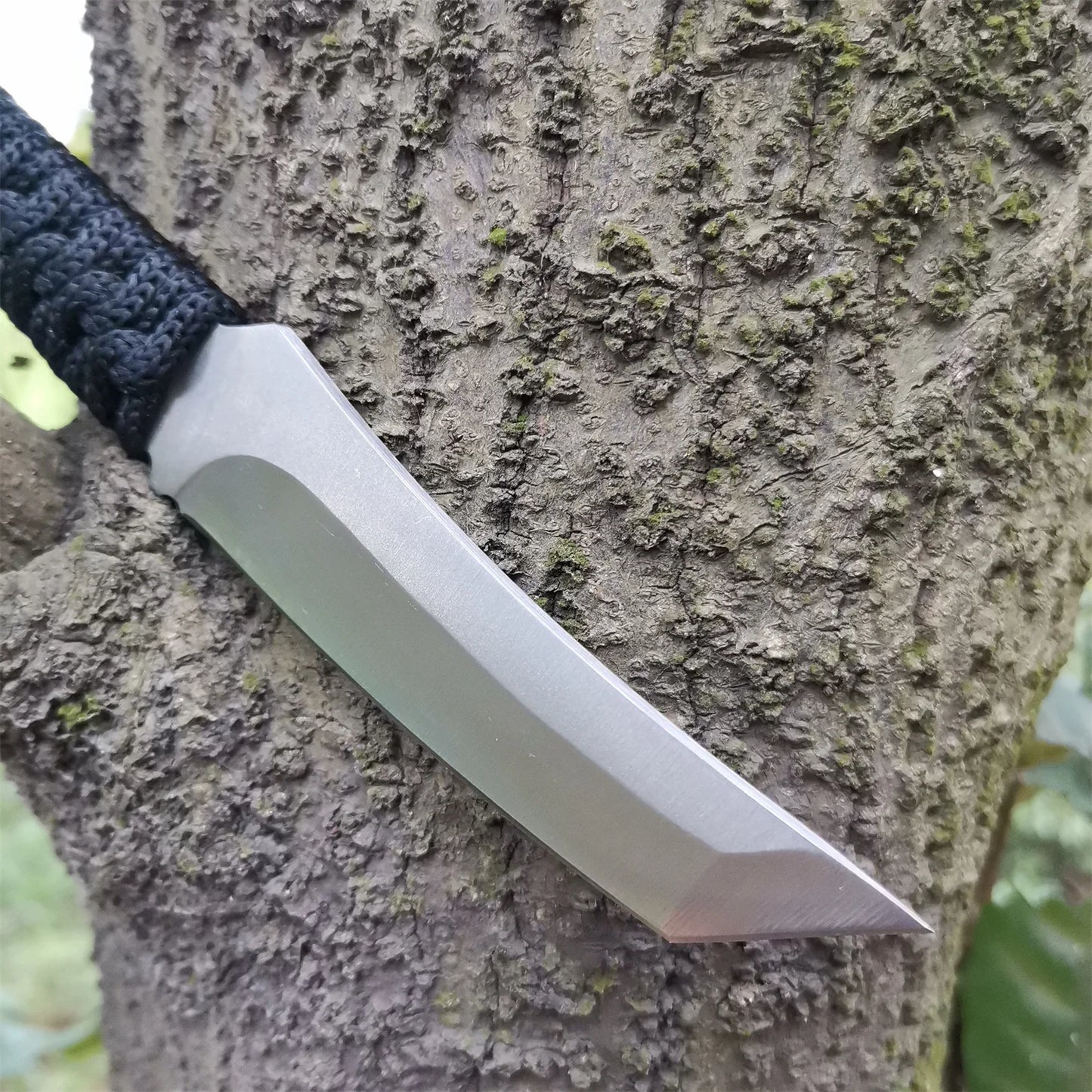 Fixed Blade Survival Knife with Sheath and Cord Tool