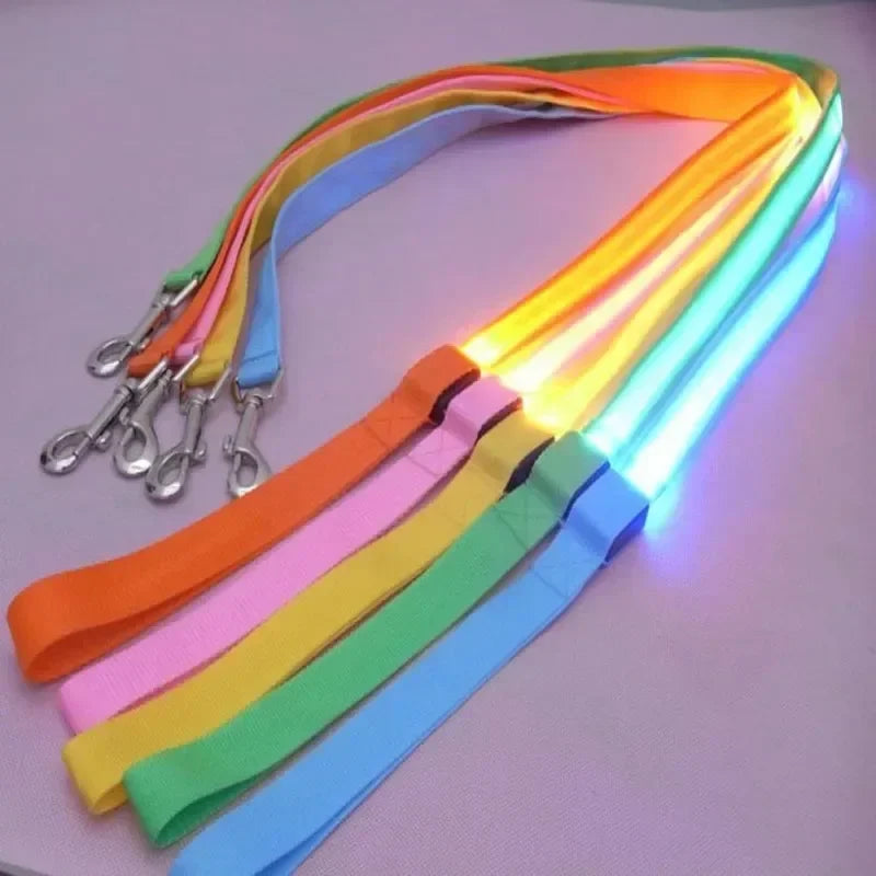 LED Glowing Dog Leash and Collar Set for Night Safety