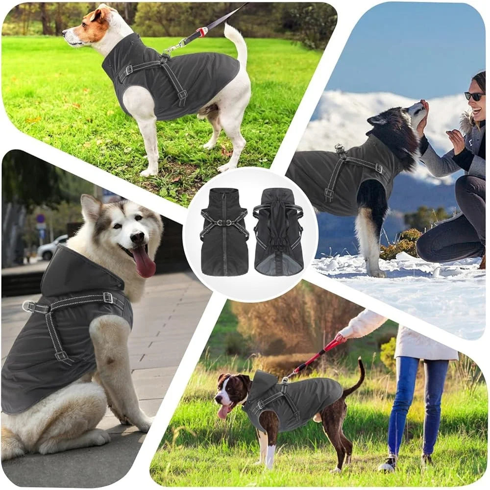Reflective Waterproof Dog Raincoat with Adjustable Hood