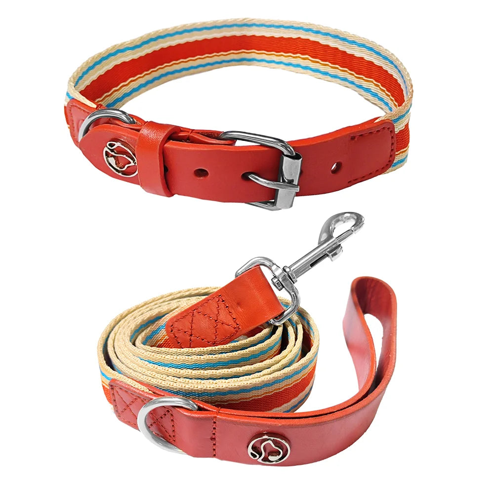 Adjustable Dog Collar and Leash Set for All Sizes