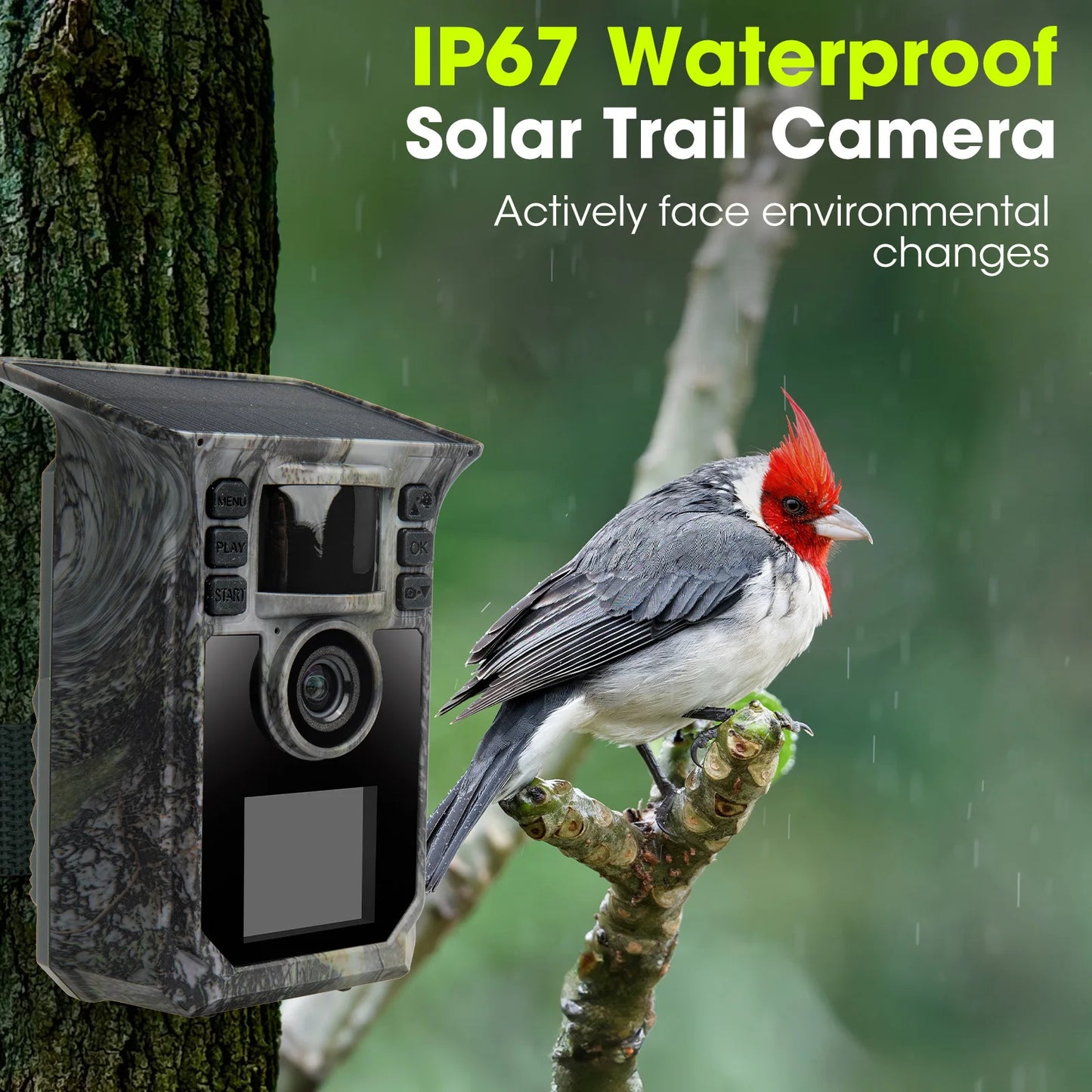 4K Solar Trail Camera, 64MP Trail Camera with Night Vision 0.2s Trigger Motion Activated, Game Camera with 130°