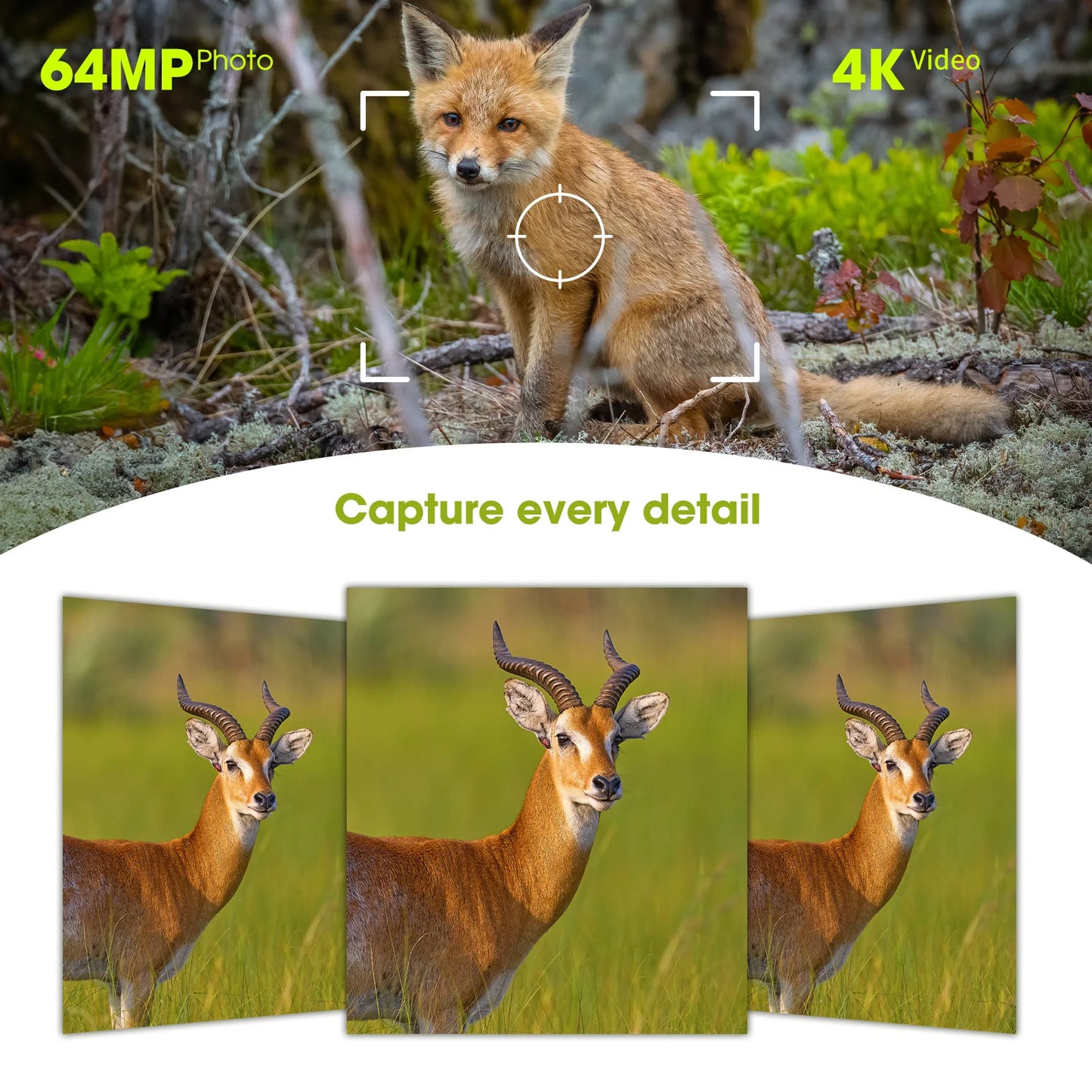 4K Solar Trail Camera, 64MP Trail Camera with Night Vision 0.2s Trigger Motion Activated, Game Camera with 130°