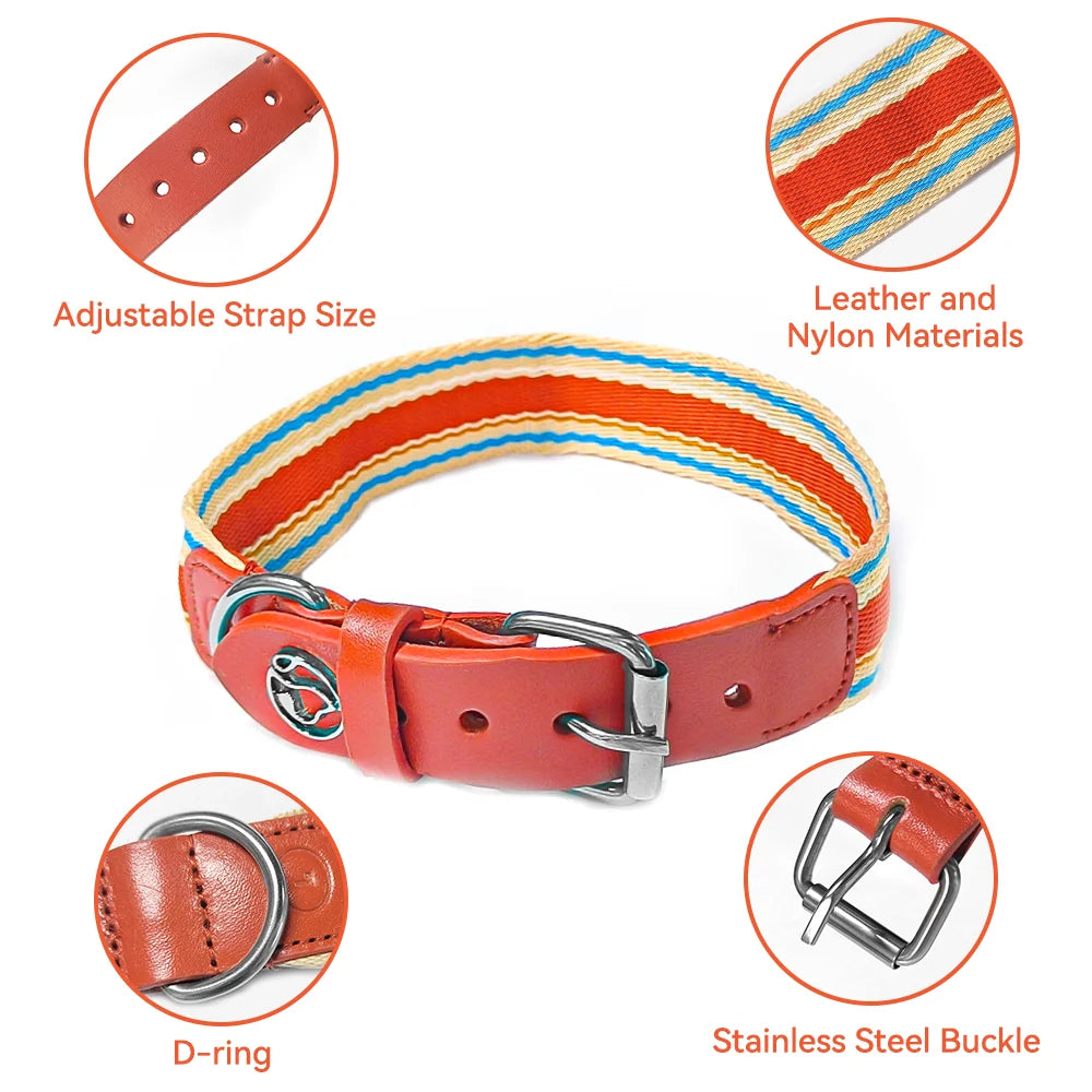 Adjustable Dog Collar and Leash Set for All Sizes