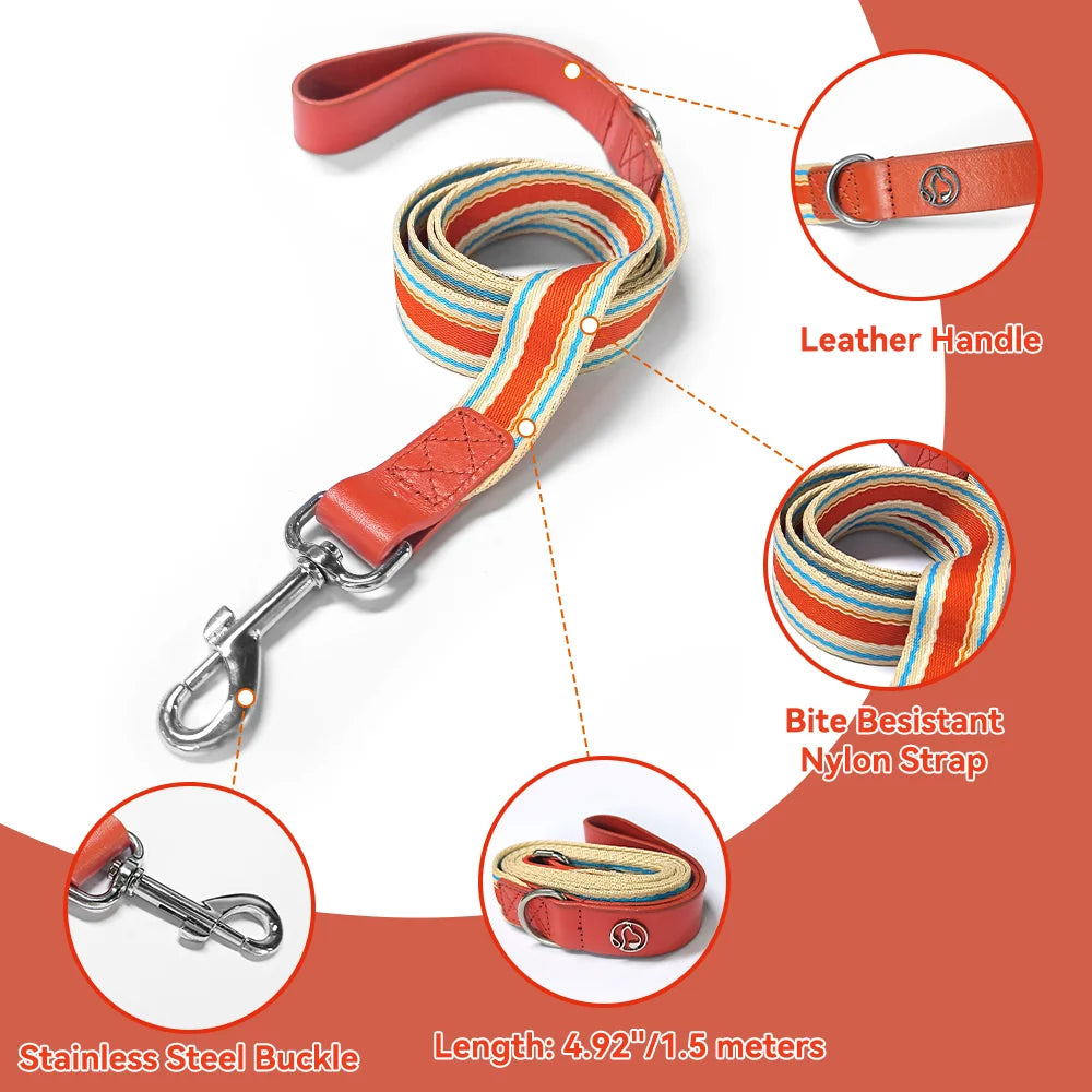 Adjustable Dog Collar and Leash Set for All Sizes