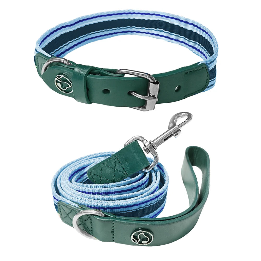 Adjustable Dog Collar and Leash Set for All Sizes