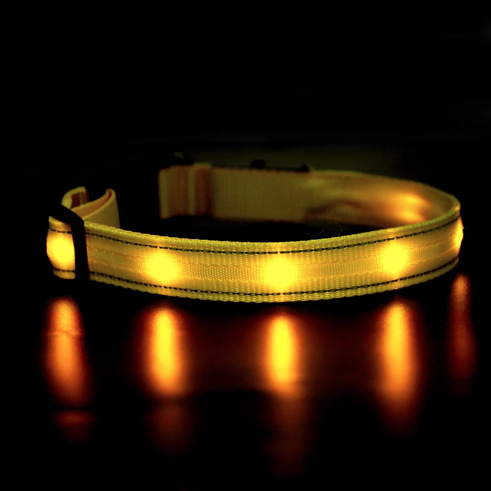 MASBRILL Light Up Dog Collar Waterproof USB Rechargeable Glowing Adjustable Night Safety Nylon Luminous LED Bright Pet Collars