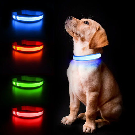 LED Glow Dog Collar Waterproof Light Up Safety Collar