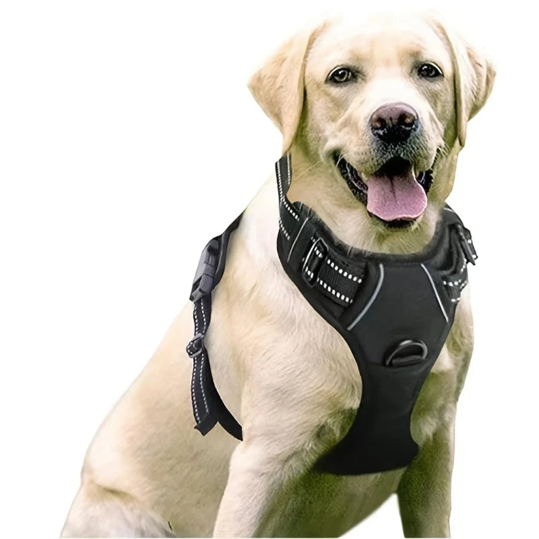 Adjustable No Pull Dog Harness with Muzzle