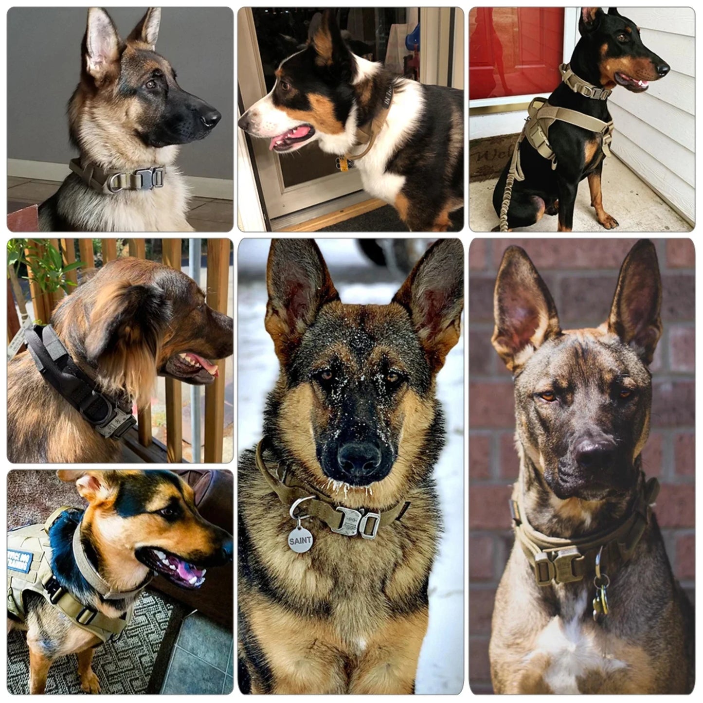 Adjustable Military Dog Training Collar and Leash Set