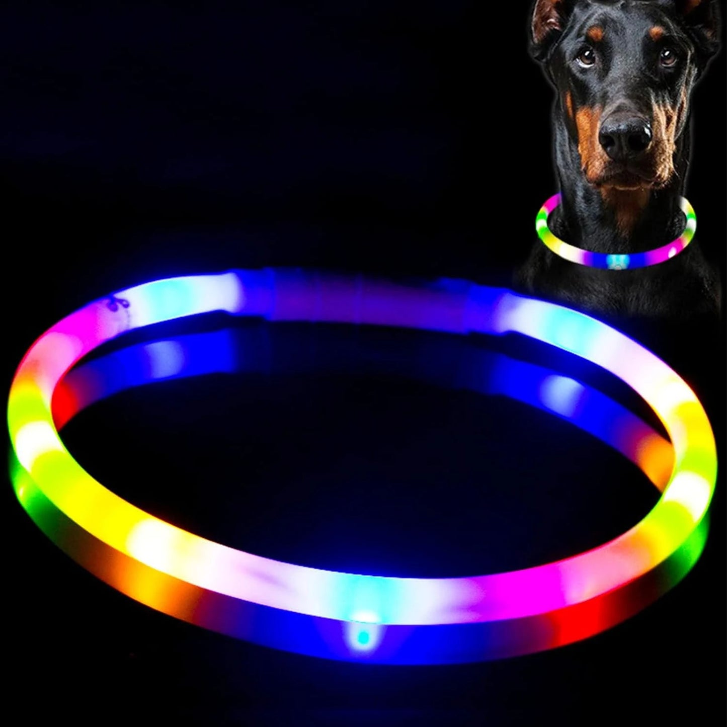 USB Rechargeable LED Dog Collar with 3 Light Modes