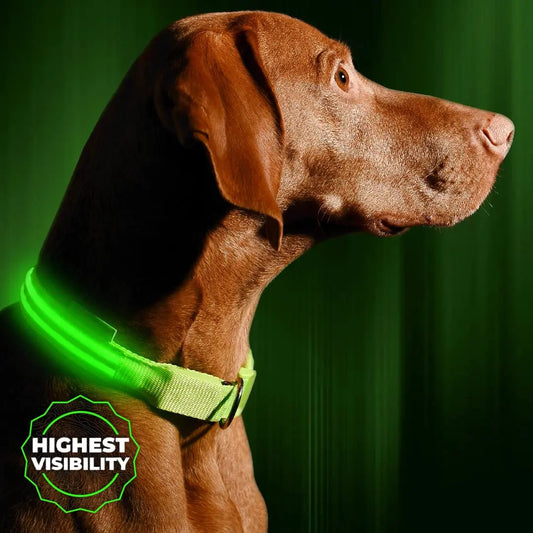 Vizpet LED Dog Collar USB Rechargeable Adjustable Light Up Safety Collar