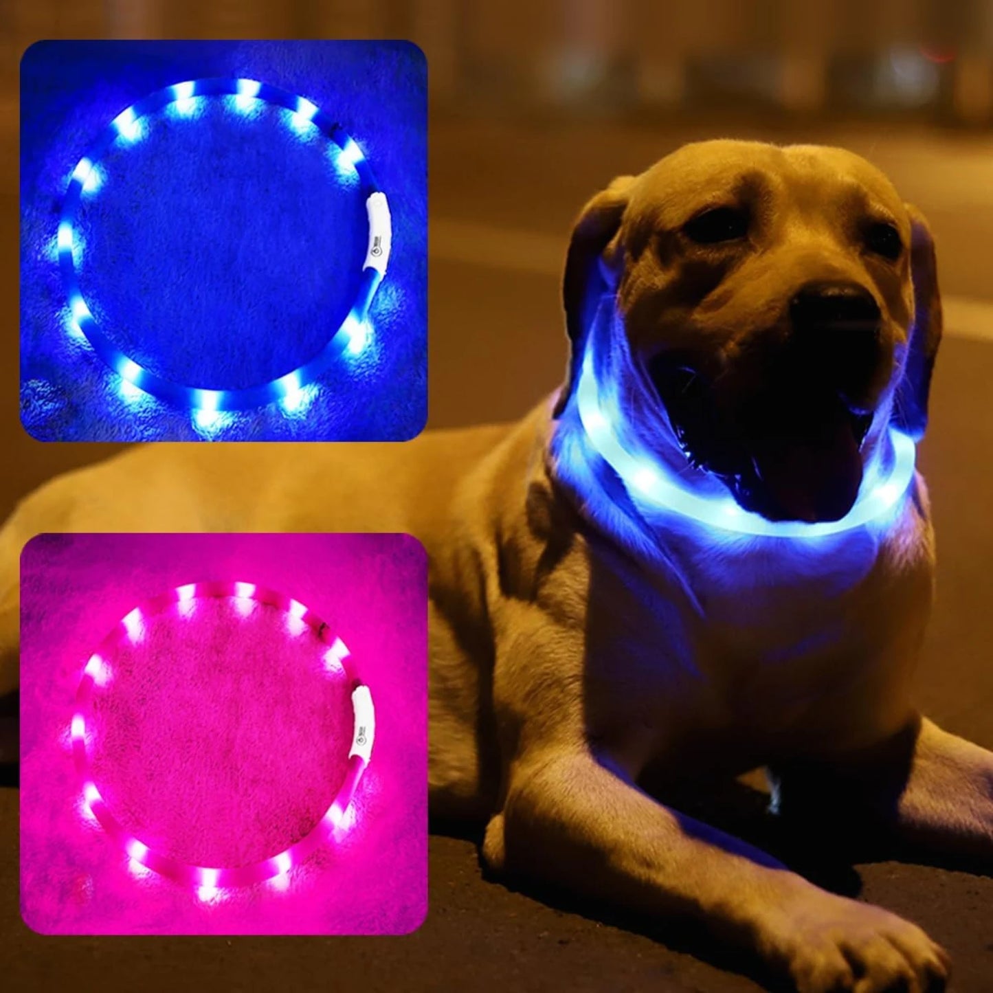 USB Rechargeable LED Dog Collar with 3 Light Modes