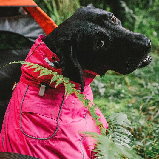 Waterproof Dog Coat, Warm Adjustable Dog Jacket