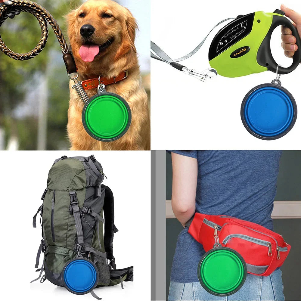 Collapsible Silicone Pet Bowl with Carabiner for Travel & Camping