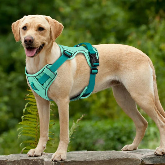 Adjustable Reflective Mesh Dog Harness Vest