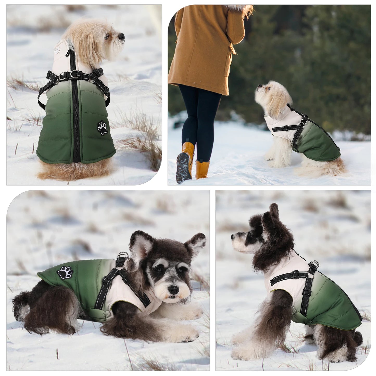 Reflective Winter Dog Jacket with Built-In Harness