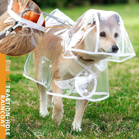 Transparent Waterproof Dog Rain Jacket with Harness Hole