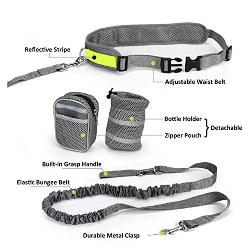 Reflective Dog Leash and Collar Set for Training & Walking