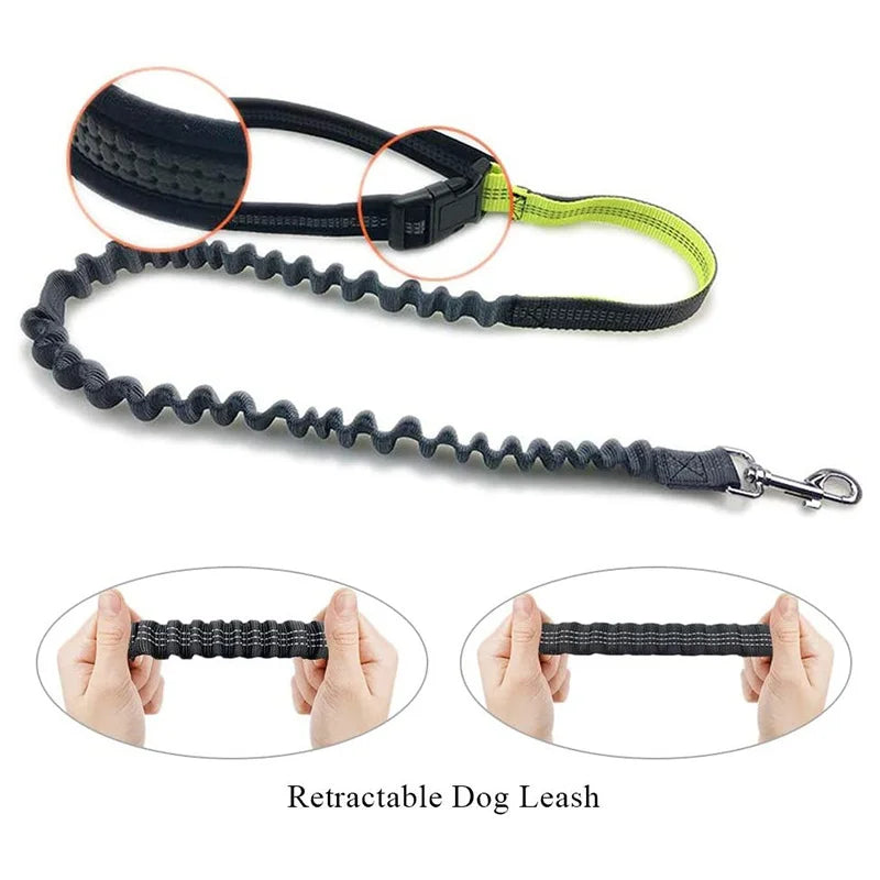 Hands-Free Dog Leash with Adjustable Belt and Reflective Design for Running & Jogging